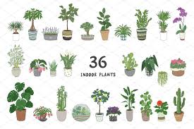 Indoor Plants Plant Drawing Succulents Drawing Palm Tree Drawing