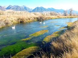 armstrong spring creek on the ohair ranch yellowstone angler