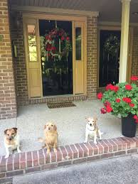 Our team has been in the same location for over 30 years and has more than 100 years of combined experience. Puppy Love Grooming By Lynn Bmo Show
