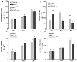 Animals obtain these compounds when they eat the plants. Frontiers Nitrogen Metabolism In Adaptation Of Photosynthesis To Water Stress In Rice Grown Under Different Nitrogen Levels Plant Science