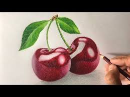 Youtube Cherry Drawing Prismacolor Art Color Pencil Art