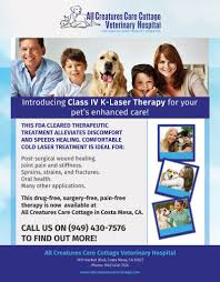 Maybe you would like to learn more about one of these? Pin On Pet Care