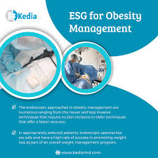 Image result for Obesity Management