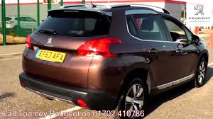 Image result for Brun Guaranja 2014 Peugeot