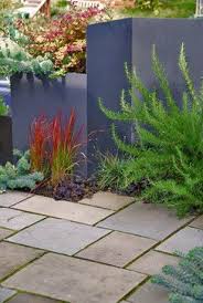 Love The Purple Wall Ignite Passion In Your Garden Beds And Container Plantings With Flowers And Folia Landscape Design Contemporary Landscape Garden Design