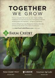 Image result for Avocado Light 1972 Montgomery Ward