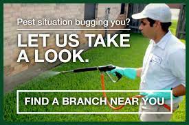 Most importantly, rely on our effective pest control services to give you peace of mind. Commercial Residential Exterminator Preventive Pest Control