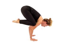 Yoga helps for blood circulation in the body, even in to those areas where blood supply is impacted due to any kind of diseases. 6 Yoga Poses To Help You Learn Arm Balances Yoga Poses Yoga Asanas Yoga
