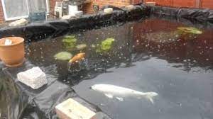 The most exciting function of this bead filter is the backflush waste line. New Koi Pond 26 000 Litres Clear Pond 80 Filter Youtube