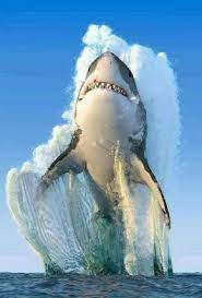 Pin Von Viktoria Auf Ocean Tiere Natur Tiere Wilde Tiere