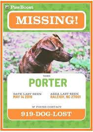 Creeped out when this missing cat poster turned his head as i walked by. Pin On Word Design
