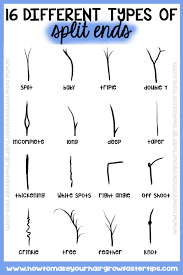 Simply put, the splitting of your hair shaft causes a split end which is clinically termed trichoptilosis. 16 Types Of Split Ends Split Ends Hair Split Ends Cool Hairstyles