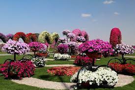 World S Largest Natural Flower Garden In Dubai Flower Garden Nature Garden