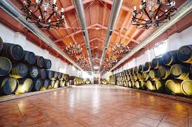 Bodegas Sociedad Plateros despacho de vinos