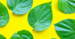 Jika itu yang anda lakukan, bukannya wangi yang anda peroleh, akan tetapi kemungkinan penyakit lain yang akan menghampiri anda. Cara Merawat Miss V Setelah Melahirkan Secara Alami Agar Tetap Bersih Happinest Id