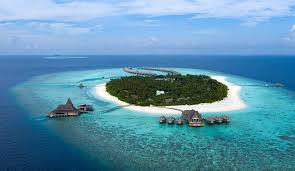 Türkiye'nin en iyi haber sitesi. Vaadhoo Island Nerede Vaadhoo Adasi Denizinin Ozelligi Yasam Haberleri