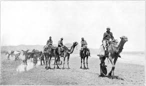 Find out how many gallons of gas will be used (and the cost) when travelling a known amount of miles. Camels Confederates And Other Stories From West Hollywood S Civil War History