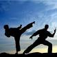 Capoeira Classes