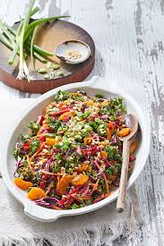 Chinese Cabbage Salad Recipe Citrus Salad Recipes Chinese Cabbage Salad Asian Cabbage Salad