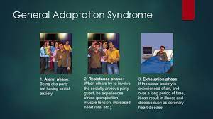 General Adaptation Syndrome Youtube