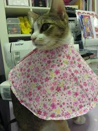 Birdsbesafe Bird Safe Cat Collar February 2015 Fabric Collar For Kitty Alternative To Plastic Cone Collar Dog Cone Collar Dog Cone Diy Stuffed Animals