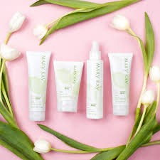 Simple Easy Clean Botanical Effects Skin Care A Simple Regimen Infused With The Goo Mary Kay Cosmetics Mary Kay Botanicals Set Mary Kay Botanical Effects