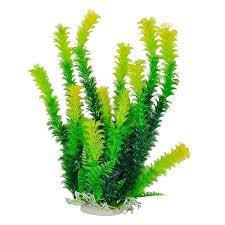 Aquatop Aquarium Plant Anacharis With Light Tips Planted Aquarium Plastic Aquarium Plants Fish Tank Plants