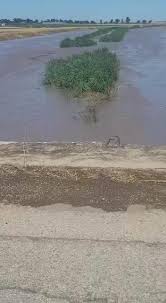 ***RISCHIO... - CIA-Agricoltori Italiani Puglia