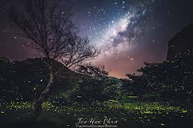 Manuel Chen Photography