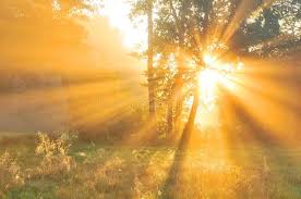 نتیجه جستجوی لغت [dawn] در گوگل