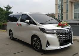 We did not find results for: Sewa Mobil Alphard Untuk Pernikahan Peaceactionmc Org