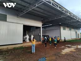 Tổng số ca được điều trị khỏi ở nước ta đến nay: Yn8dbpttzujzfm