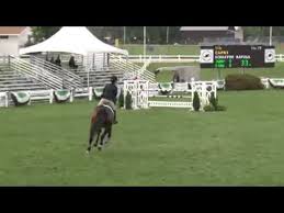 Video of CAPRI ridden by SCHAEFER RAPOSA from ShowNet!