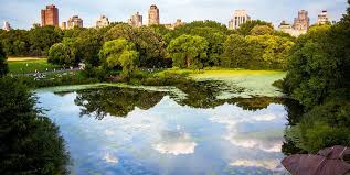 New york is known the world over for its natural beauty, scenic lakes and mountains, and iconic skyscrapers. 8 Most Beautiful Neighborhoods To Live In New York City Propertynest