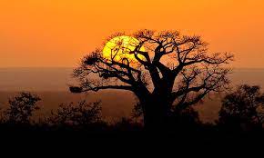 African Safari Wildlife Photo Safaris In Africa S National Parks Sunrise Sunset Africa Sunset