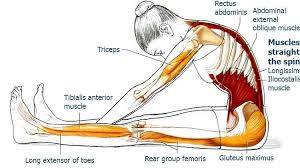 Pin On Health