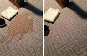 Maybe you would like to learn more about one of these? Carpet Cleaning Glen Cove Ny Evergreen Clean 516 674 0300