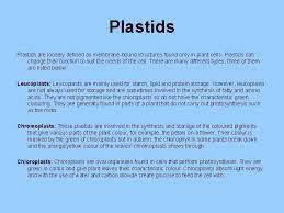 Plant cell can be defined as. Plant Cell Functions The Nucleus The Nucleus Is