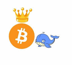 Mari saya kongsikan panduan cara untuk pesan makanan mcdonald's melalui drive thru. Mari Belajar Cara Whales Cukong Membagi Modal Steemit