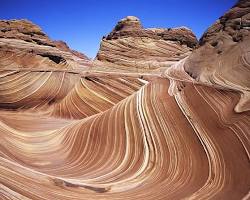 Wave patterns in nature