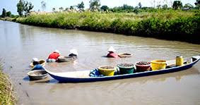 Mô hình nuôi tôm- cua- sò huyết đạt hiệu quả cao - Báo Cần Thơ Online