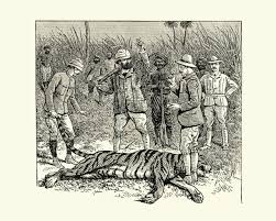 10+ Black And White Illustration Of ...