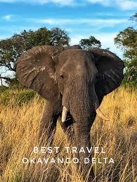 Beyond Xudum Okavango Delta Lodge In 2020 Okavango Delta Botswana Afrika