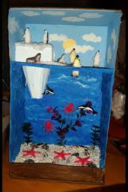 Tundra Biome In A Box Project Arctic Habitat Diorama 2nd Grade Project Diorama Kids School Crafts Ecology Projects