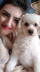 Maltipoo owners sharing their experiences of having pets as their children