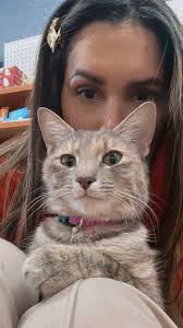 Cary Sanchez Moros (@carysanchezm)