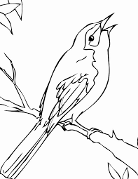 Free, printable coloring pages for adults that are not only fun but extremely relaxing. Mockingbird Coloring Pages Best Coloring Pages For Kids In 2021 Animal Coloring Pages Drawings Coloring Pages