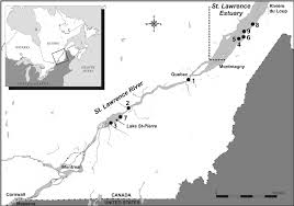 River flowing west to east in north america (the river bisects the canadian province of quebec and forms part of the border between the state of new york in the united states and the province of ontario in canada) … Location Map Of Chinese Mitten Crab Sightings In The St Lawrence River Download Scientific Diagram