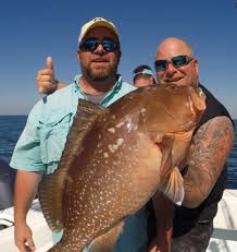 Browse more than 75 fishing guides and outfitters in st. All Year Fishing Makes St Pete Beach Fishing Charters An Ideal Vacation Spot Royston Hotel