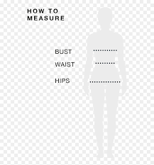 Check spelling or type a new query. Woman Body Measurements Png Transparent Png Vhv